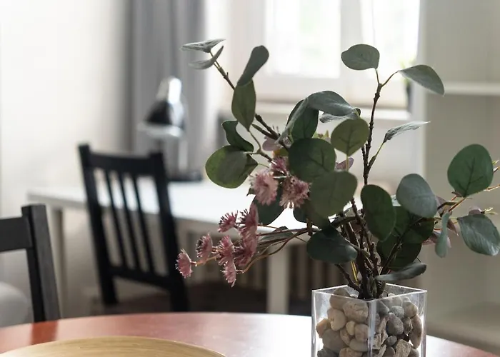 Accommodatie bij particulieren With 2 Beds In The Old Town *